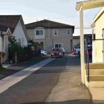 DSC_0049_01 (October 03, 2020)